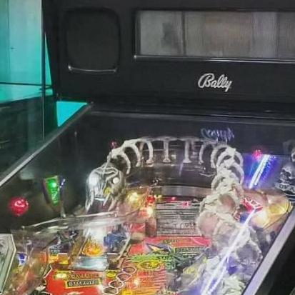 Flipper Scared Stifff WmS